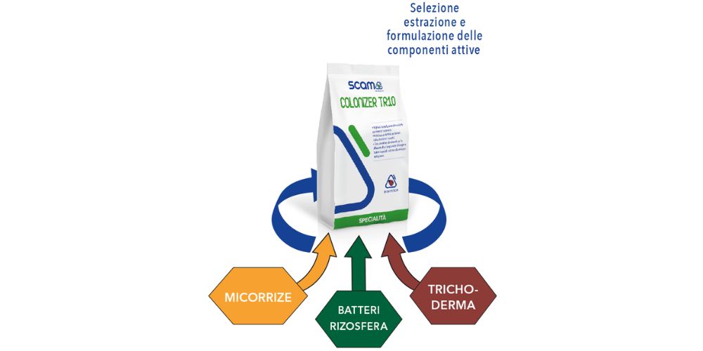 COLONIZER TR 10: Un Inoculo di Endo-micorrize e Trichoderma asperellum